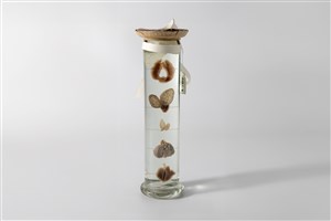 Image description is not available for 2016.1.5